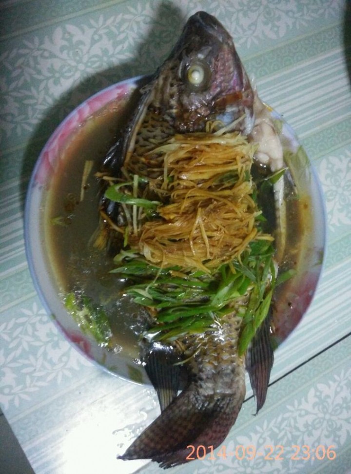 清蒸羅非魚的做法,清蒸羅非魚怎麼做好吃,清蒸羅非魚的家常做法 - 京