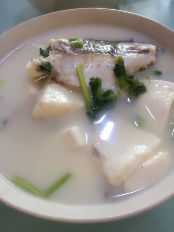 豆腐鲤鱼汤图片