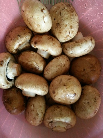 浓汁牛排菇的做法,浓汁牛排菇怎么做好吃,浓汁牛排菇的家常做法 