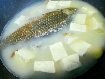 白鯽魚豆腐湯 的做法,白鯽魚豆腐湯 怎麼做好吃,白鯽魚豆腐湯 的家常