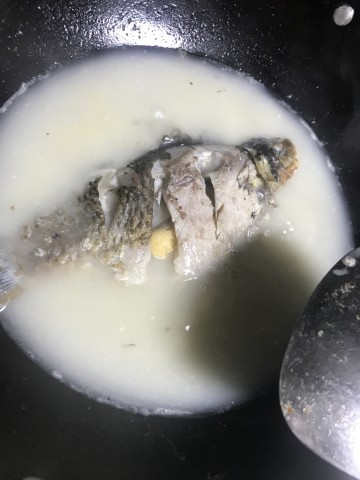 無添加的奶白鯽魚湯