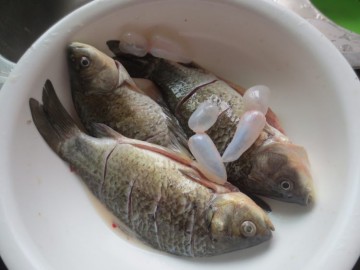 麻辣鯽魚的做法,麻辣鯽魚怎麼做好吃,麻辣鯽魚的家常做法 - 京細菜譜